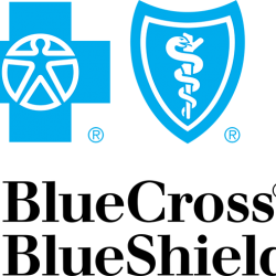 Blue cross blue shield logo
