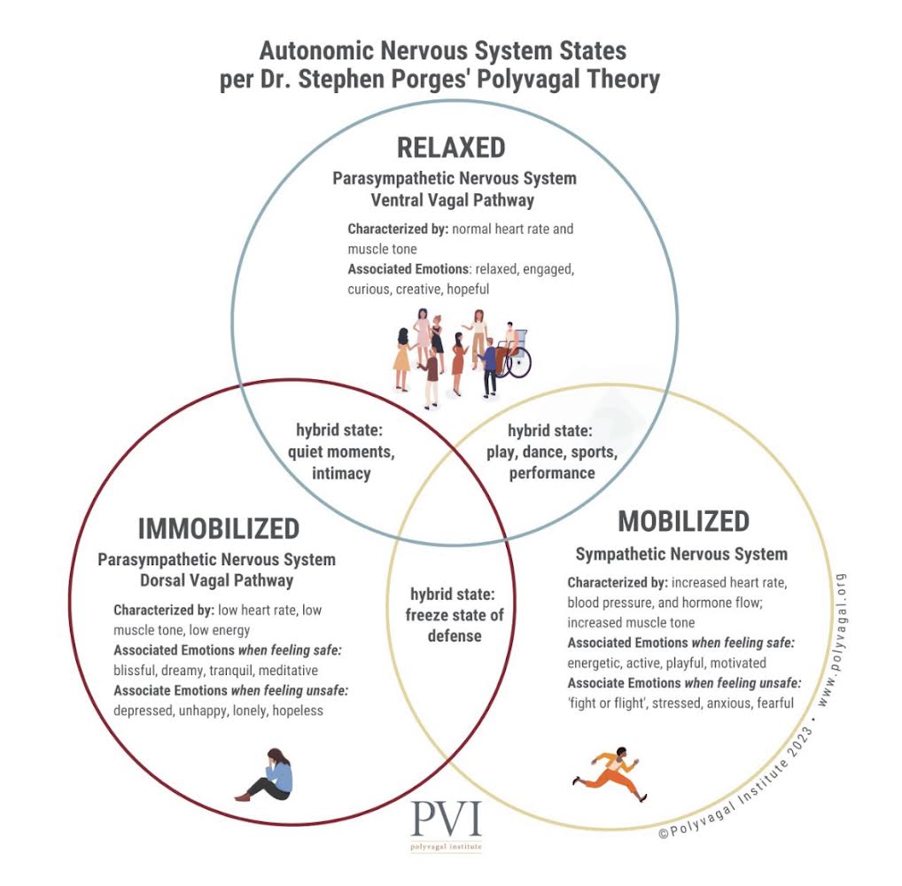 Autonomic Nervous System States venn diagram.